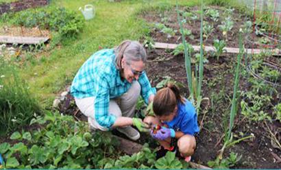Susan McGaughey VNF Garden